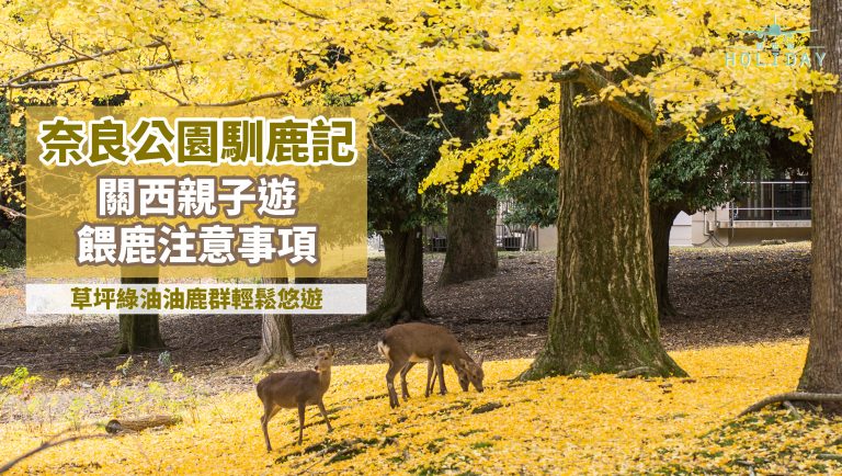 奈良公園馴鹿記｜超過1000隻小鹿，綠油油草坪上悠遊，親子遊餵鹿注意事項！