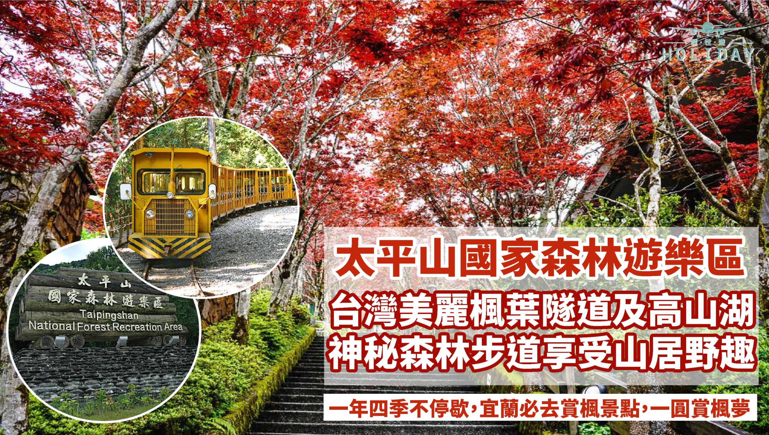 台灣宜蘭太平山國家森林遊樂區賞楓 漫步在紅葉隧道 乘坐蹦蹦車穿越楓樹林 一睹全球最美的古道之一見晴古道 神秘又唯美的賞楓之旅 出發 Go Went Gone Holiday