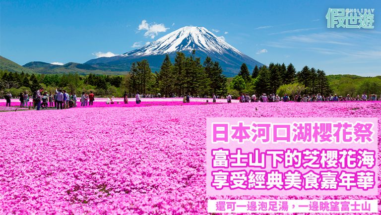富士河口湖櫻花祭 — 日本首都圈最大規模的花祭〡富士山下的粉色芝櫻花海，還有美食嘉年華和足浴！六大花祭區域，吃喝玩樂樣樣齊！