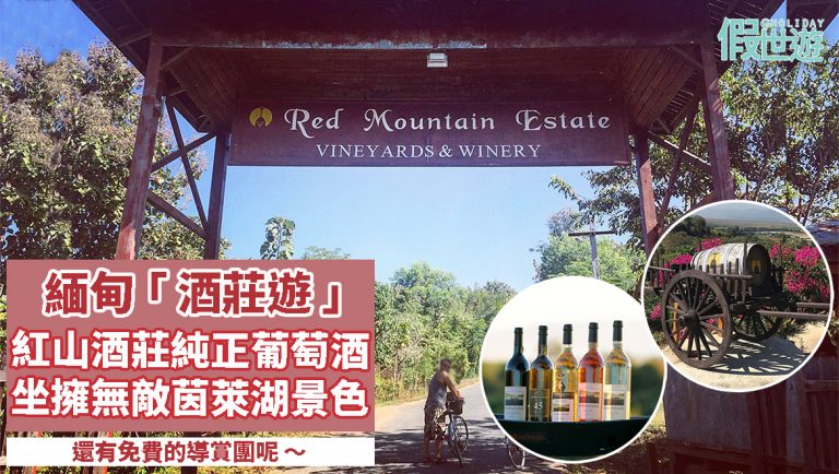 緬甸「酒莊遊」— 紅山葡萄酒莊園｜生產純正的緬甸製紅白酒，擁有無敵茵萊湖景色，還有免費的導賞團呢～