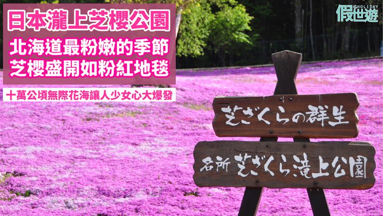 日本北海道瀧上公園芝櫻花田，徜徉在芝櫻粉紅地毯中，滿滿花海讓你的少女心大爆發，全面進攻北海道芝櫻聖地！