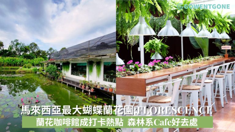 馬來西亞最大蝴蝶蘭花園Florescence by World of Phalaenopsis|隱藏在蘭花咖啡館成打卡熱點，森林系Cafe好去處！