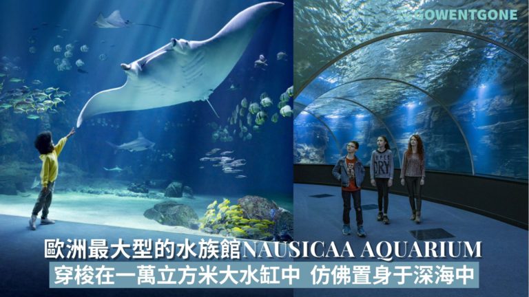 歐洲最大型的水族館Nausicaa Aquarium| 仿佛置身於深海之中，在一萬立方米的大水缸之中肆意穿梭，令人震撼的海洋隧道以及巨型海洋看板！