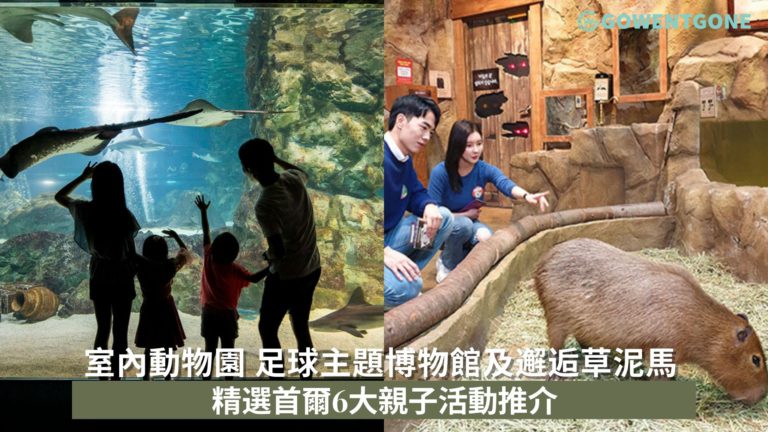 精選首爾6大親子活動推介! 室內動物園及體驗型足球主題博物館，邂逅草泥馬，與小孩一起享受韓國旅行！
