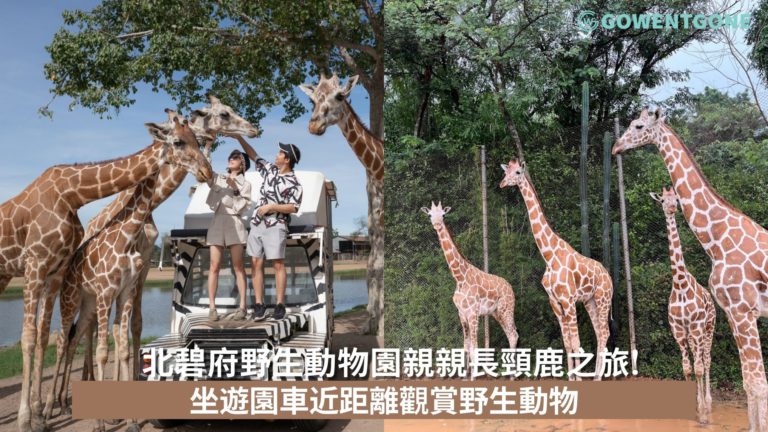曼谷一日遊：北碧府野生動物園親親長頸鹿之旅! 坐遊園車近距離觀賞野生動物連超打卡網紅cafe行程體驗，低至HK$439/位!