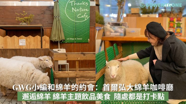 GWG小編和綿羊有個約會！在首爾弘大綿羊咖啡廳邂逅綿羊，綿羊主題飲品及美食，打卡點滿滿的田園風格特色咖啡廳！