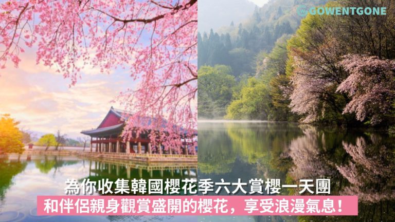 為你收集韓國六大賞櫻一天團，和伴侶一齊親身觀賞盛開的櫻花，享受浪漫氣息！
