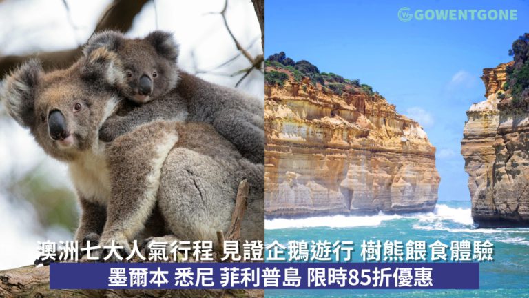 【限時 85 折】七大人氣澳洲行程低至 HK$710/位 見證企鵝遊行 樹熊餵食體驗