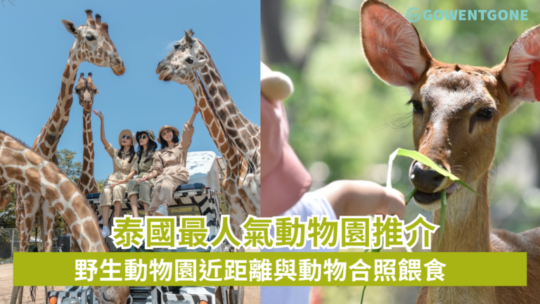 泰國最人氣動物園推介 野生動物園近距離與動物合照餵食