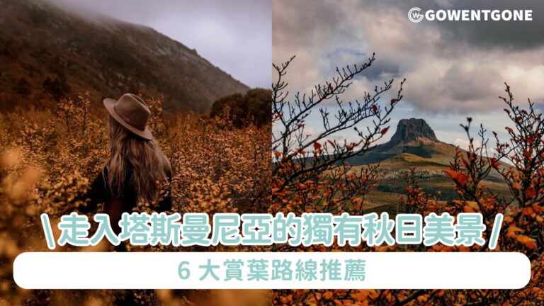 走入塔斯曼尼亞的獨有秋日美景 賞葉指南 : 山毛櫸的美麗變身 6 大賞葉路線推薦 秋天的塔斯曼尼亞以其獨特的魅力和壯觀的自然景觀，成為了欣賞落葉的最佳地點。