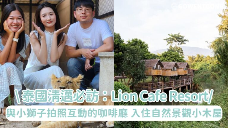 泰國清邁必訪｜Lion Cafe Resort，可與小獅子拍照的動物咖啡廳。入住大自然景觀小木屋，還有可觀星的泡泡屋！