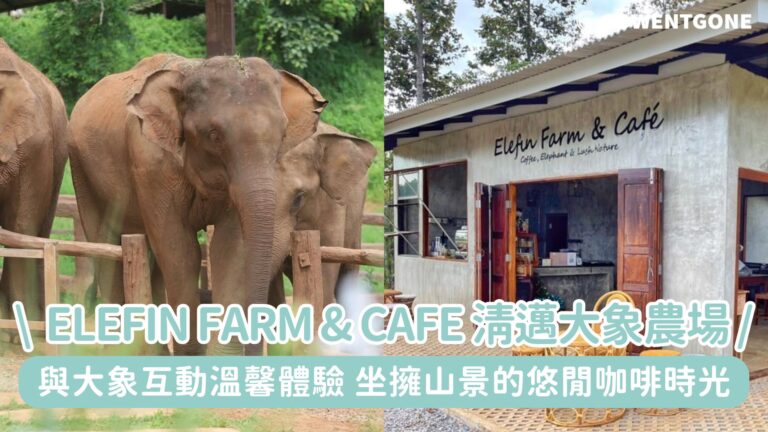 在清邁與大象相遇！ Elefin Farm & Cafe與大象互動溫馨體驗，坐擁山景的悠閒咖啡時光，絕對值得列入清邁必去清單!