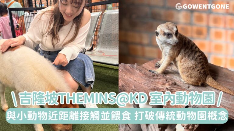 吉隆坡假日親子好去處！ theMINs@KD 室內動物園，與小動物近距離接觸並餵食，打破傳統動物園概念，將動物保護理念與沉浸式體驗巧妙結合的空間~