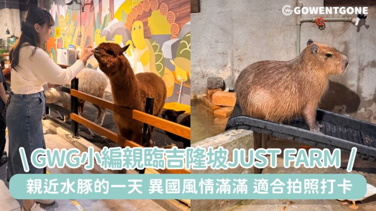 【親近水豚的一天】GWG小編親臨，吉隆坡Just Farm 室內動物園全，異國風情滿滿，適合拍照打卡，親子遊首選！
