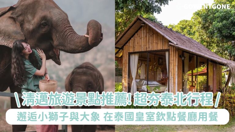 清邁旅遊景點推薦，超夯泰北行程，邂逅小獅子與大象，在泰國皇室欽點必吃的意大利餐廳用餐，入選《曼谷米其林指南》推薦的海鮮餐廳，清邁自由行這樣玩！