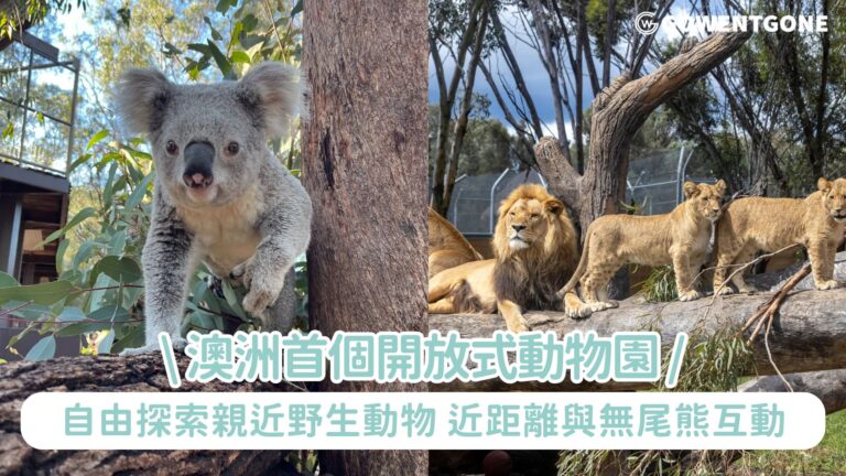 澳洲首個開放式動物園| 塔龍加西部平原動物園，自由探索親近野生動物，與長頸鹿肩並肩漫步，與獅子、犀牛近距離接觸，難忘的野生動物之旅！