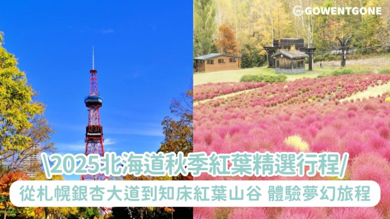 2025北海道秋季紅葉精選行程！從札幌銀杏大道到知床紅葉山谷，體驗楓情、美食與溫泉交織的夢幻旅程